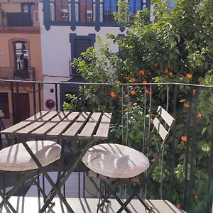 Loft House Triana Sevilla